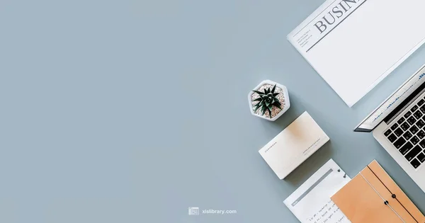 Accounting Format in Excel - XLS Library