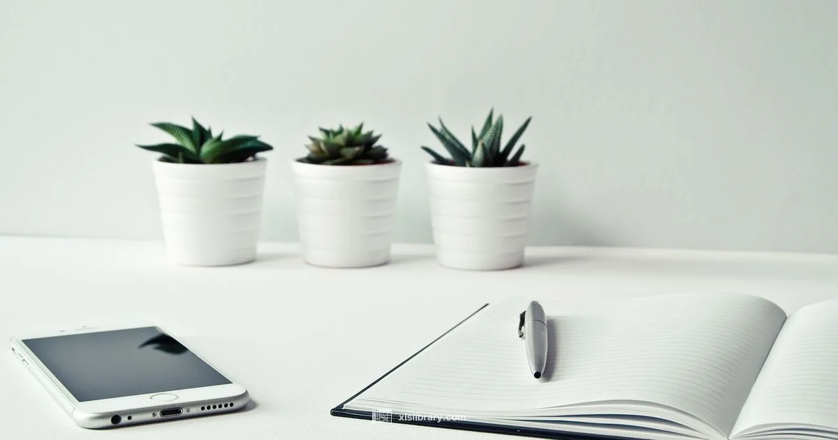 Excel Sheets Mastery Excel Sheets Mastery - XLS Library