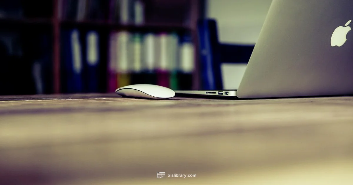 Excel Version History Excel Version History - XLS Library