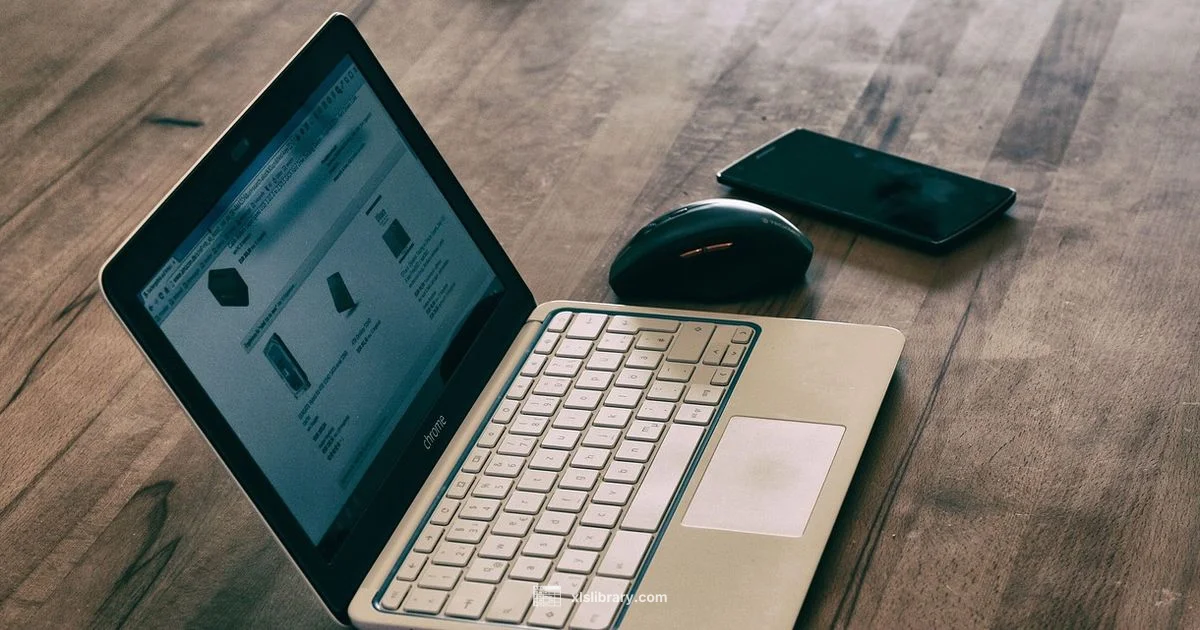 Excel Licensing Essentials - XLS Library