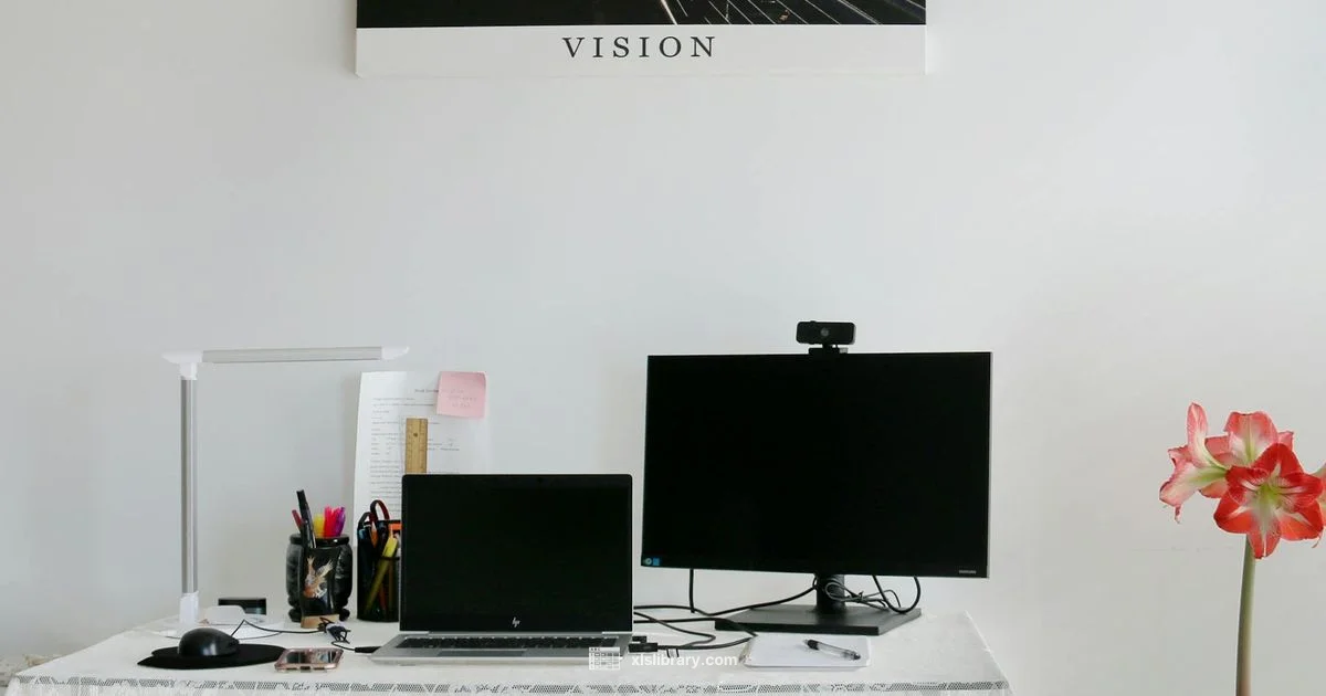 Excel vs CSV Guide - XLS Library