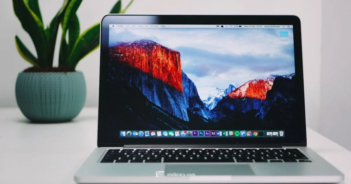 Excel on Mac Pricing - XLS Library