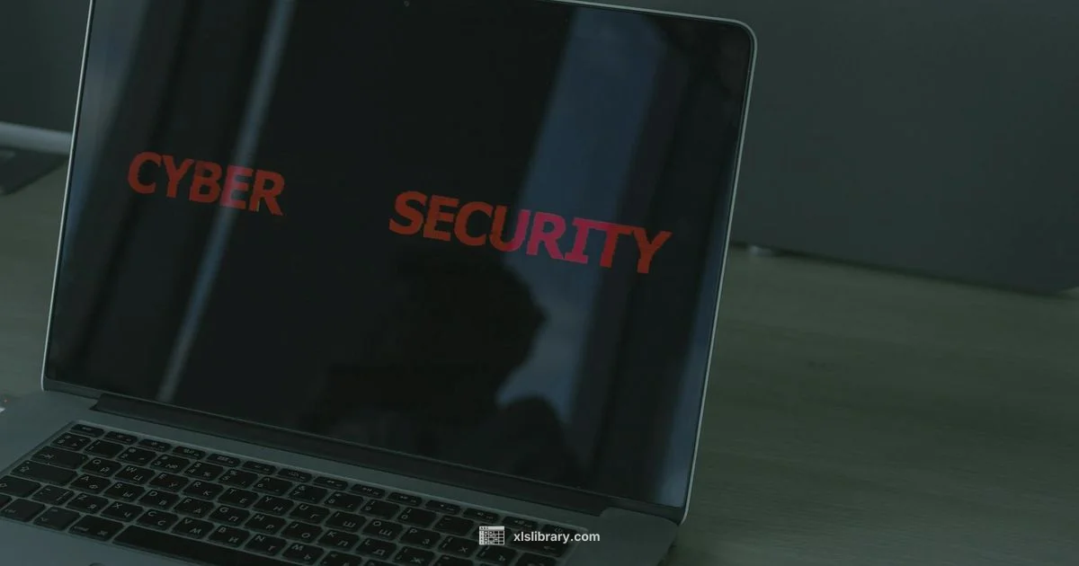 Safe Access Recovery - XLS Library