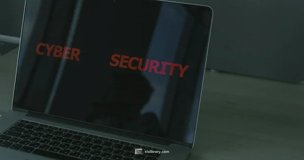 Safe Access Recovery - XLS Library