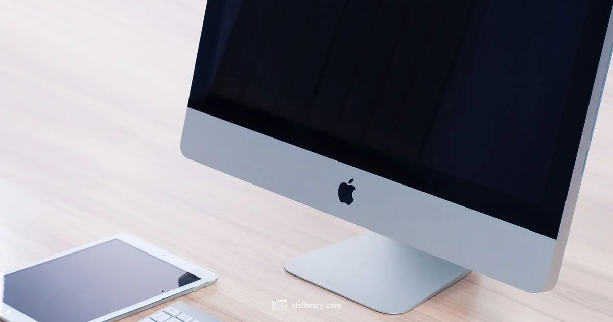 Excel in Web Mastery - XLS Library