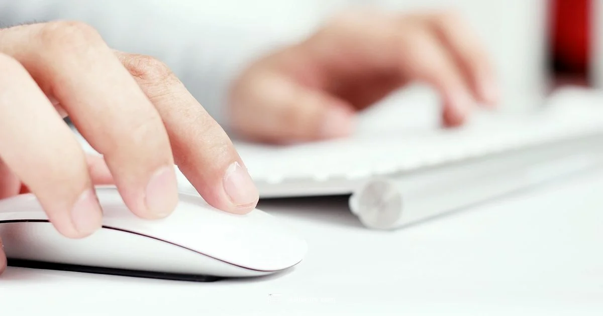 Excel Center Hub Excel Center Hub - XLS Library