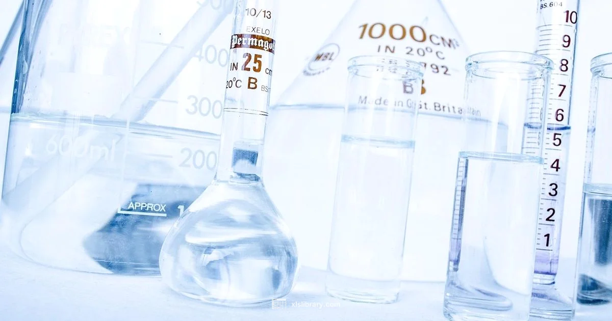 Excel Labs Guide - XLS Library