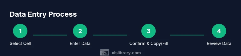 Process diagram of entering data into Excel cells