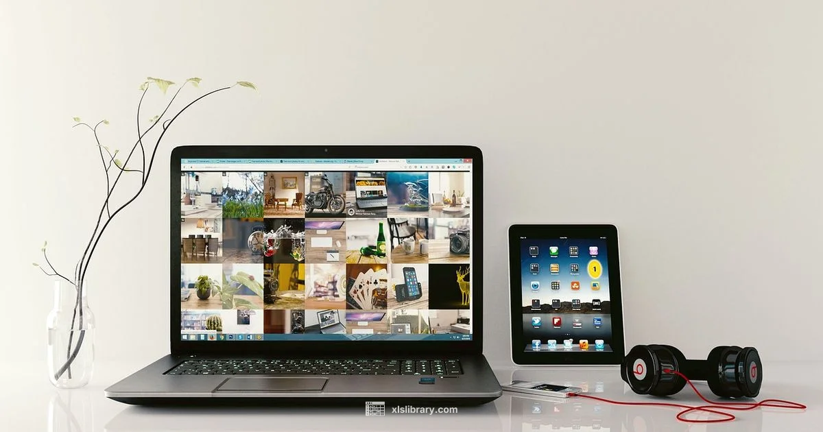 Excel Skills Mastery Excel Skills Mastery - XLS Library