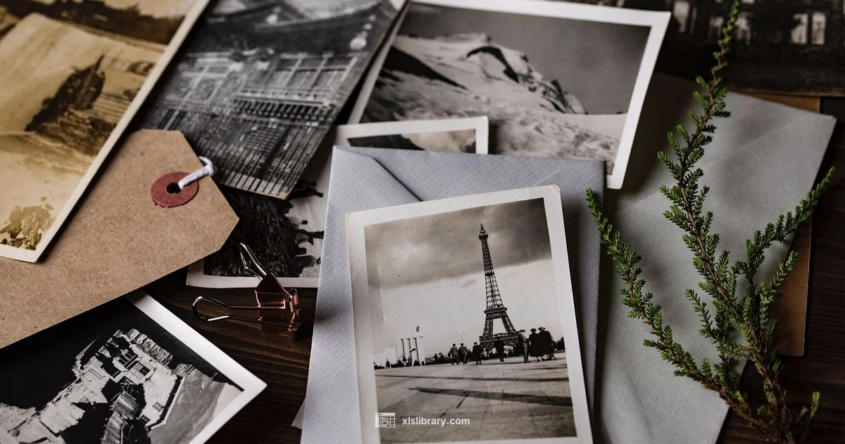 Pivot Table Basics Pivot Table Basics - XLS Library