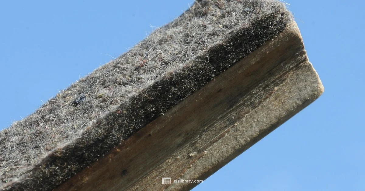 Excel Academy Charter - XLS Library