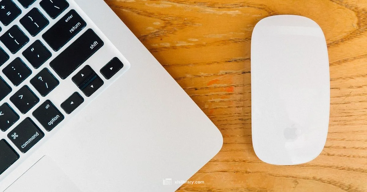 Excel Multiplication Basics - XLS Library