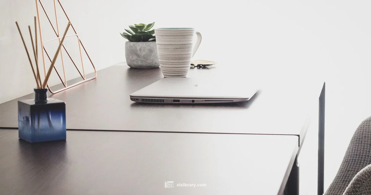 Offline Excel Essentials - XLS Library