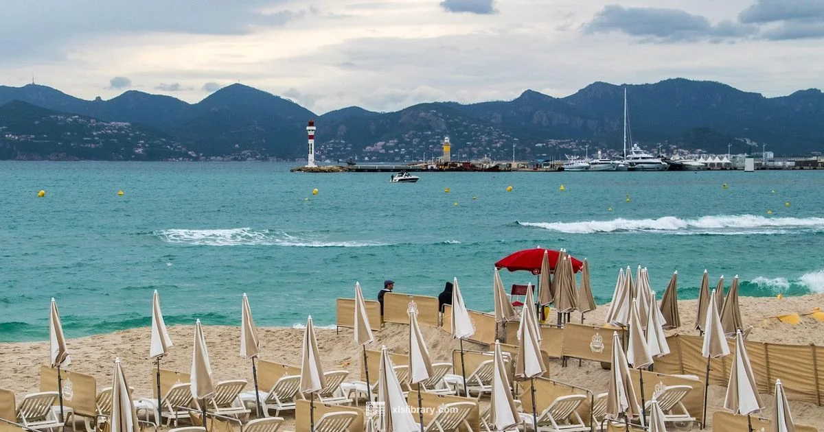 Best Beach Pick - XLS Library