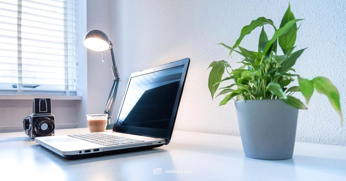 Current Date in Excel - XLS Library