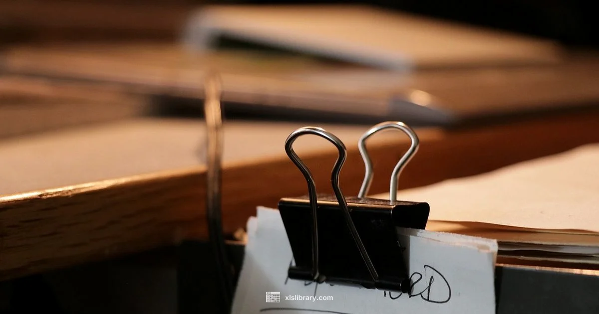 Excel Access - XLS Library