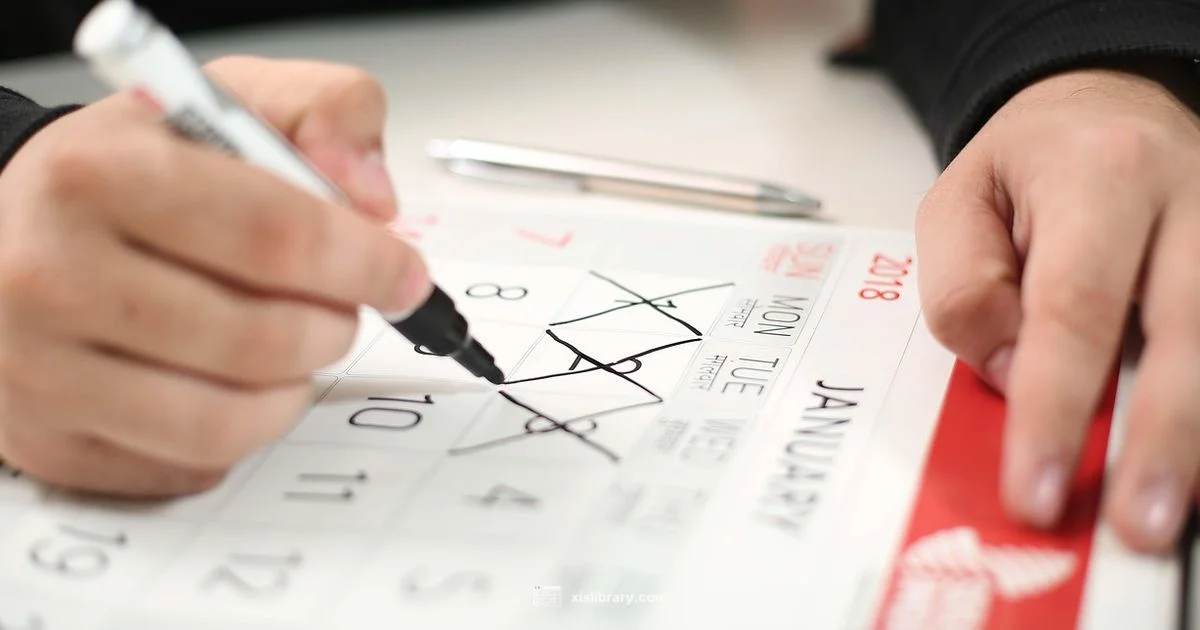 Excel Calendar Guide - XLS Library