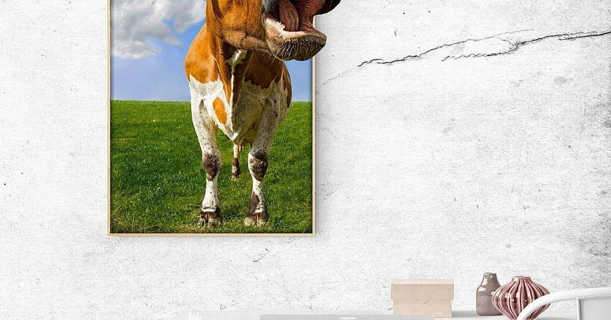 Excel Visuals 101 - XLS Library