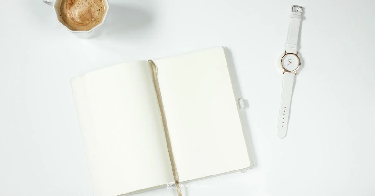 Excel Basics - XLS Library