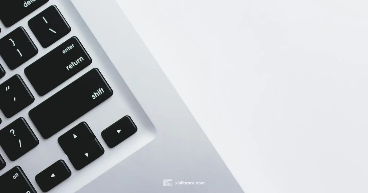 Excel Essentials Excel Essentials - XLS Library