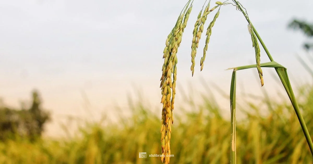 Ministry Excellence PDF - XLS Library