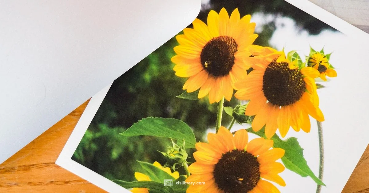 Excel on Mac Guide Excel on Mac Guide - XLS Library