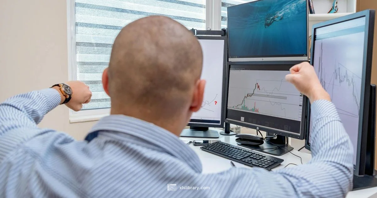 Excel File Comparison - XLS Library
