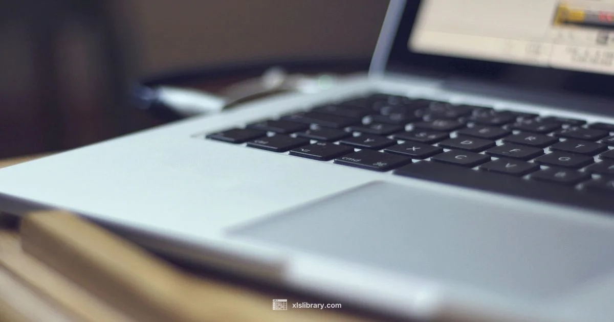 Excel Foundations - XLS Library