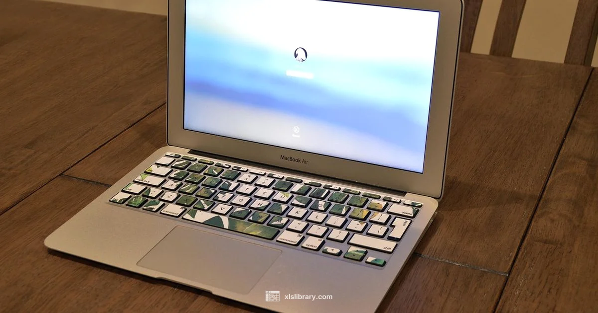 Excel for Mac Download - XLS Library