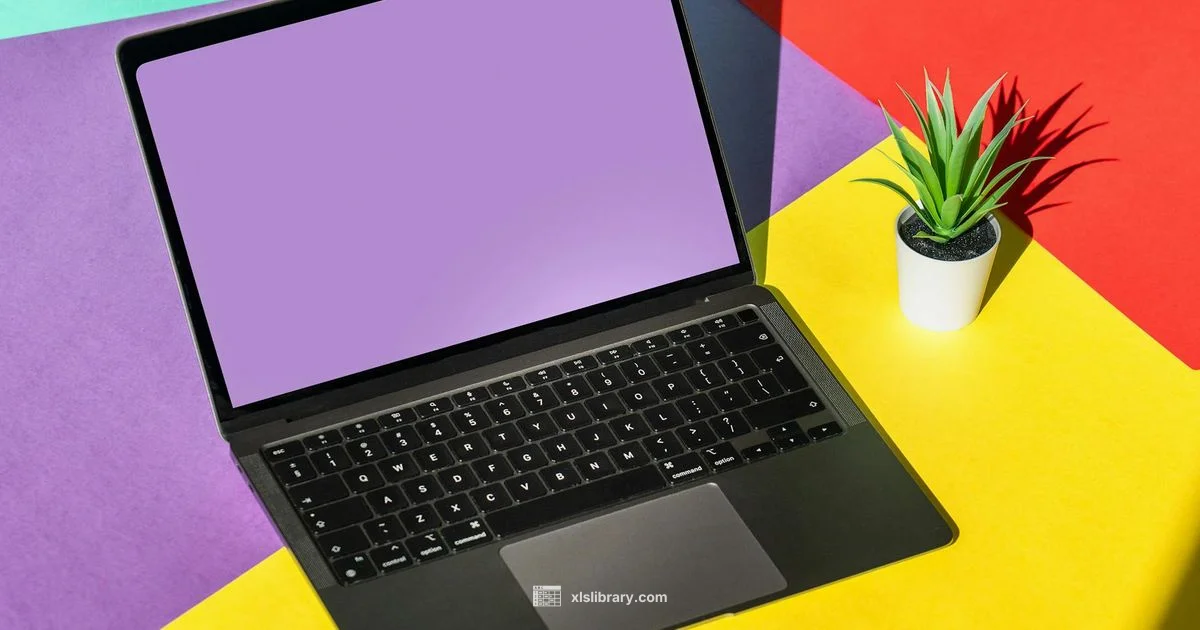 Excel XLSX Essentials - XLS Library