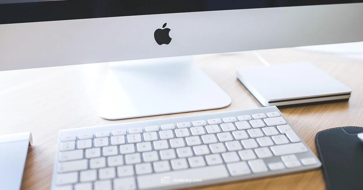 Excel Pros and Cons - XLS Library