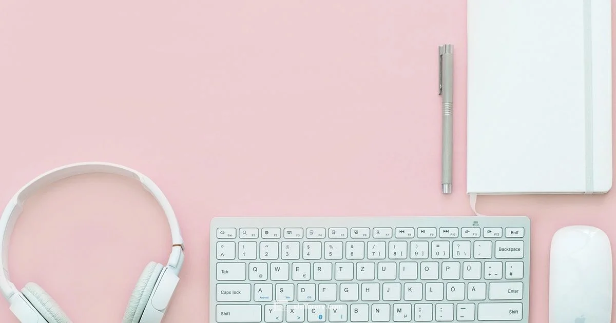 Excel vs Sheets Ease - XLS Library