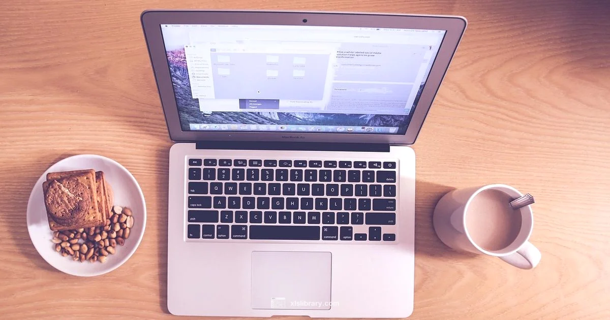 Excel Table Basics - XLS Library