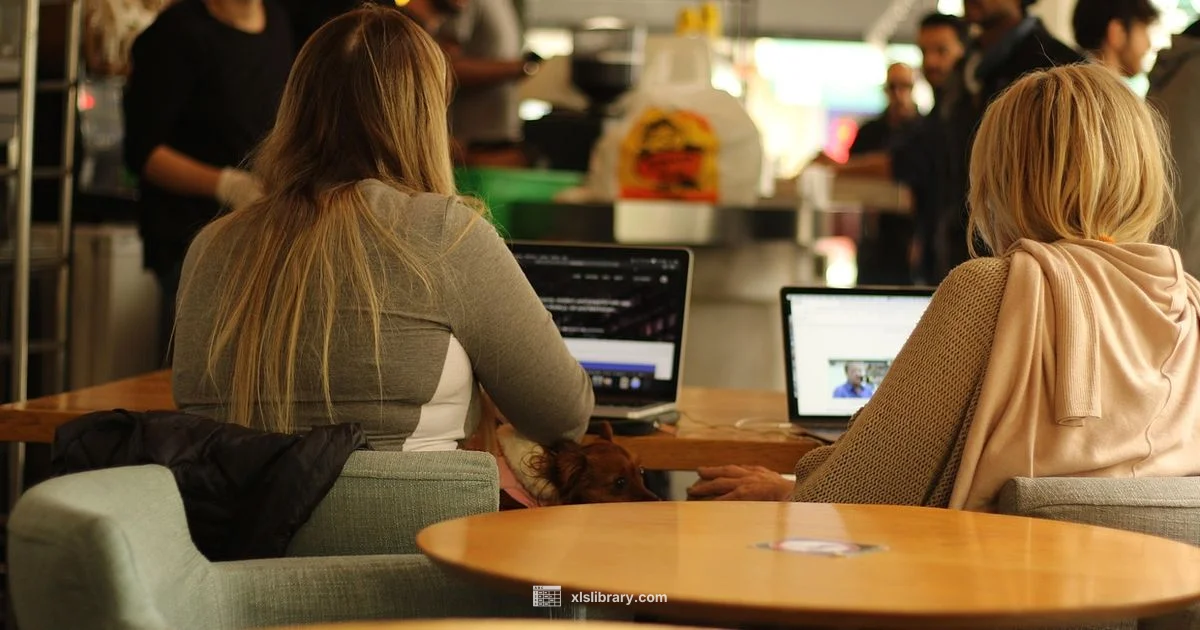 Excel Mastery Path - XLS Library