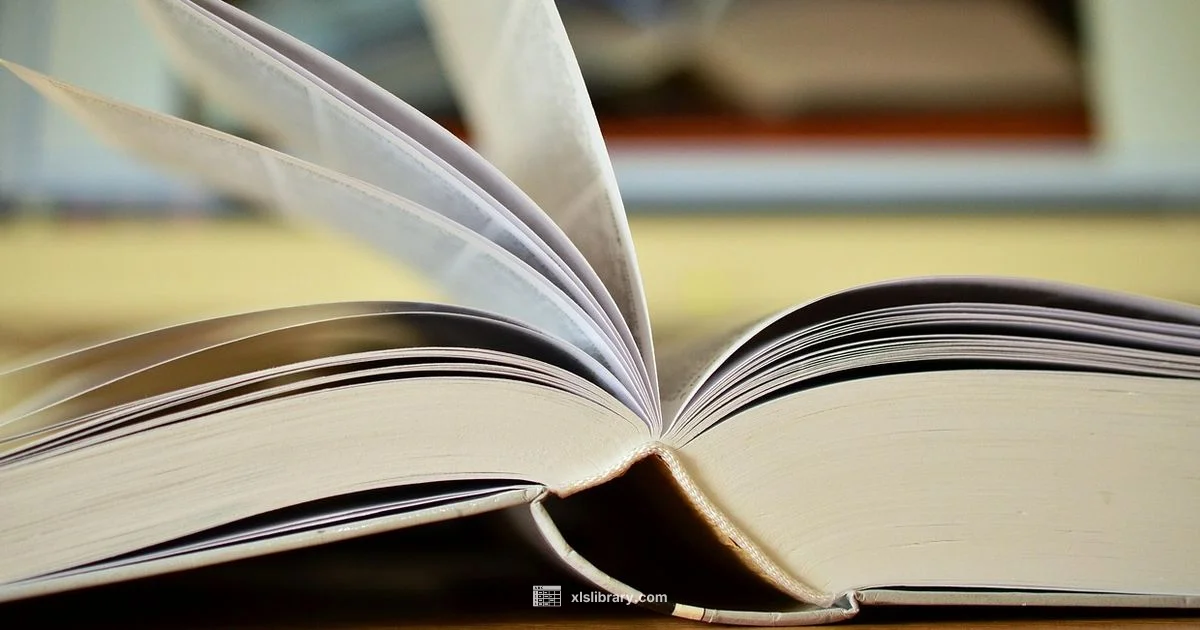 Excel to CSV Guide - XLS Library