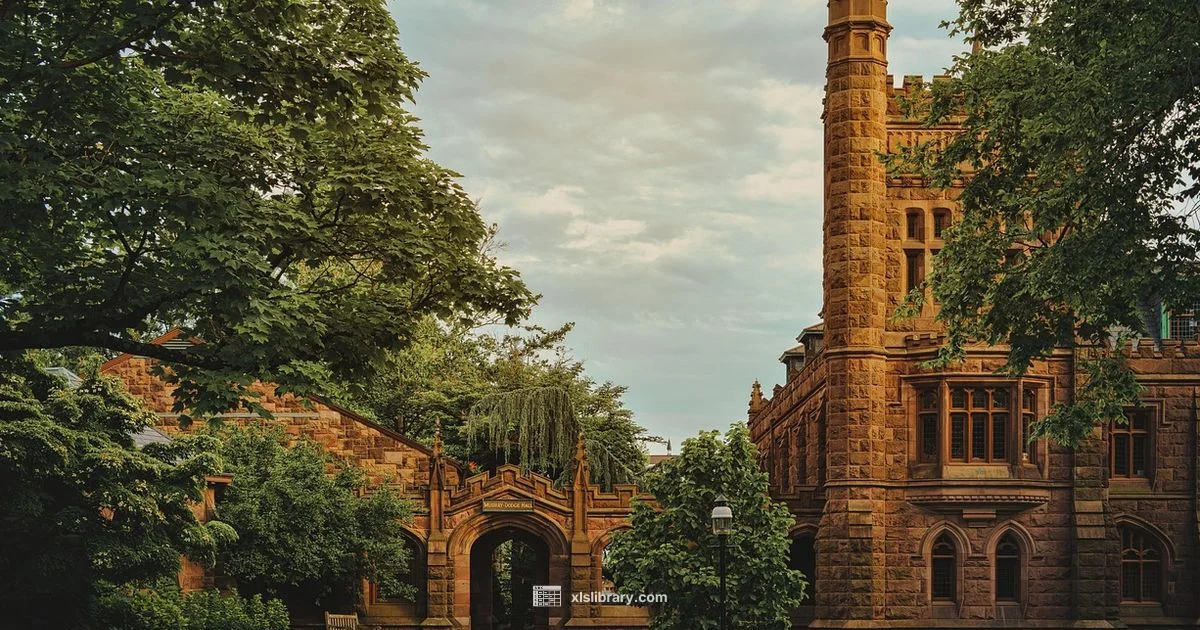 Excelsior University Excelsior University - XLS Library