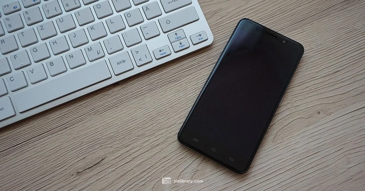 Excel for iPad Mastery - XLS Library