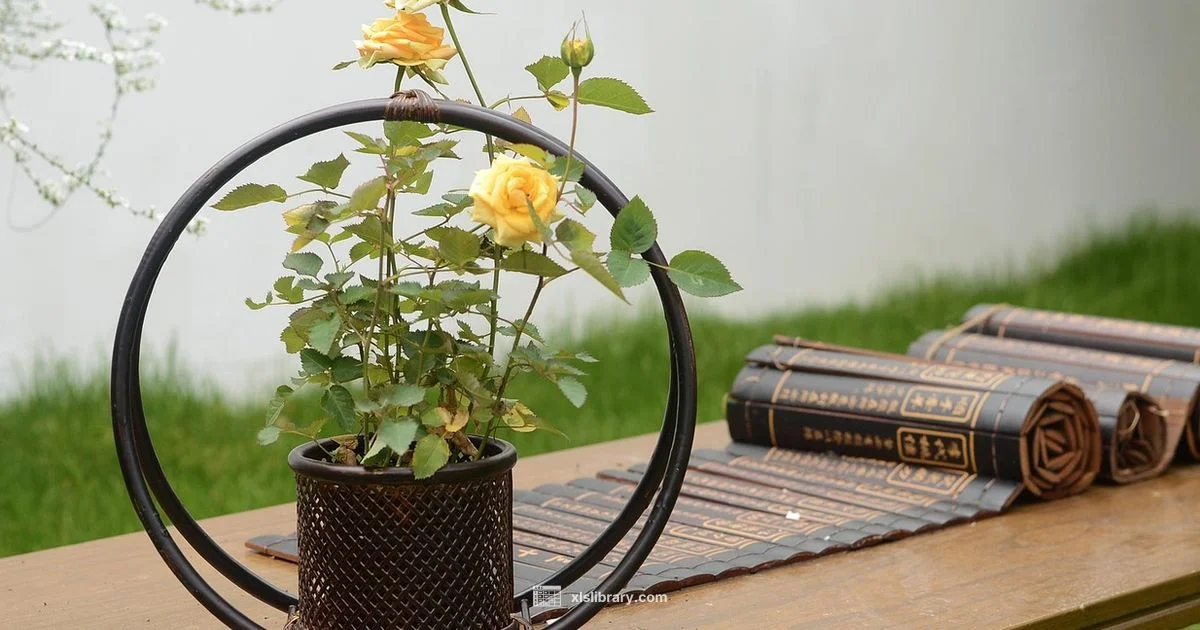 Plant Data Viz Plant Data Viz - XLS Library