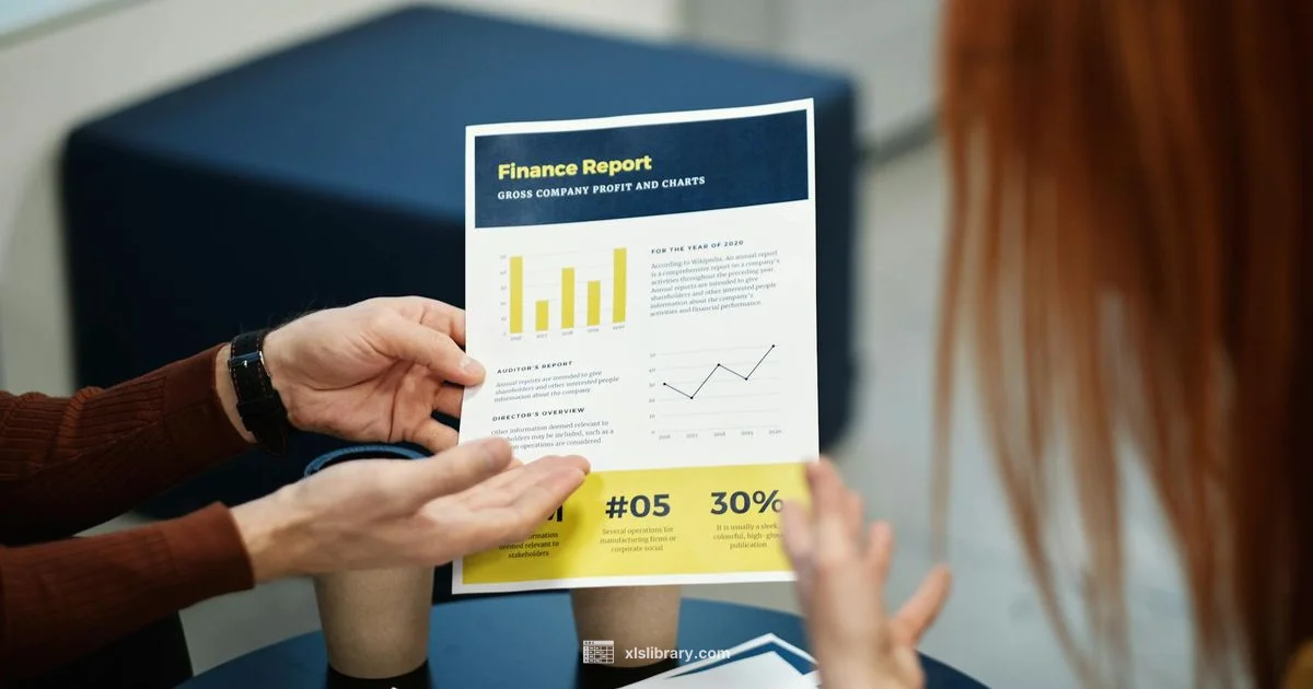 Budget vs Actual - XLS Library