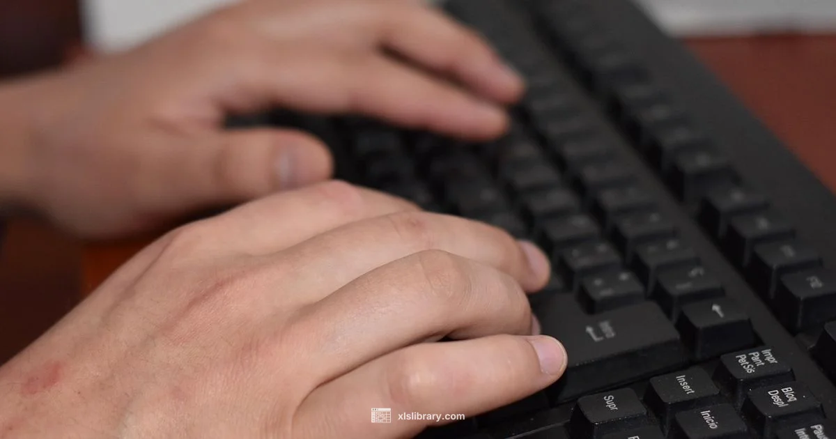 Basic Excel Guide - XLS Library