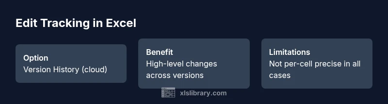 Infographic showing three options for tracking edits in Excel: Version History, Track Changes, and VBA audit logs