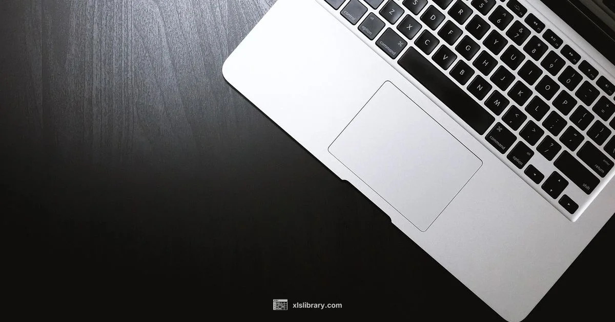 Excel to PDF Conversion Excel to PDF Conversion - XLS Library