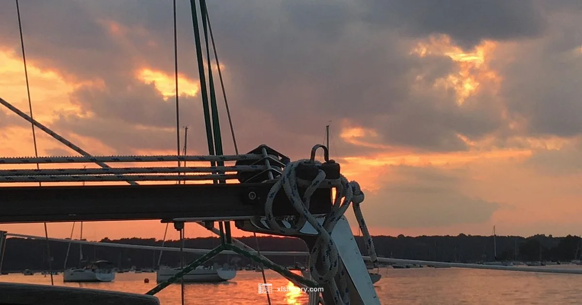 Excellence Oyster Bay - XLS Library