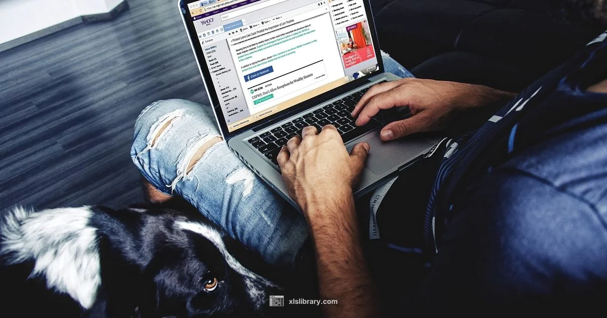 Learn Excel Fast - XLS Library