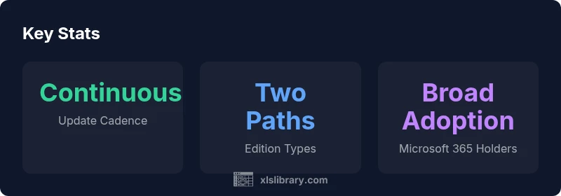 Infographic showing update cadence, edition types, and adoption by Excel editions