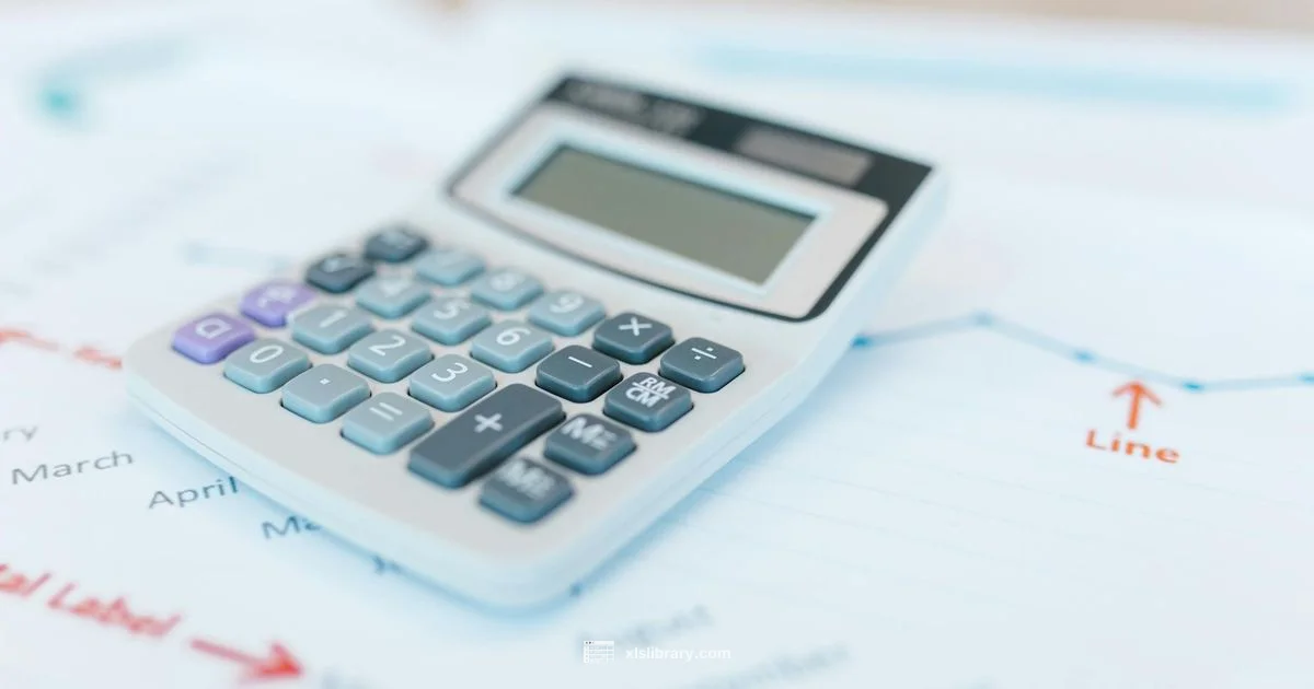 Excel Review - XLS Library