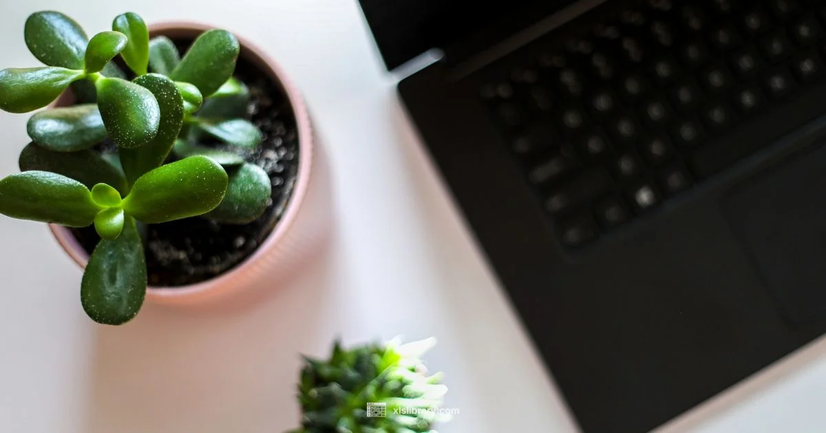 Excel Shortcuts Mastery - XLS Library