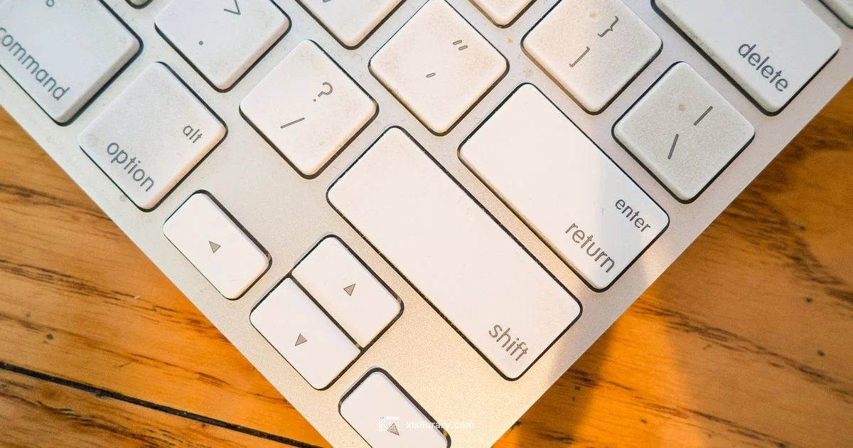 Excel Data Entry - XLS Library