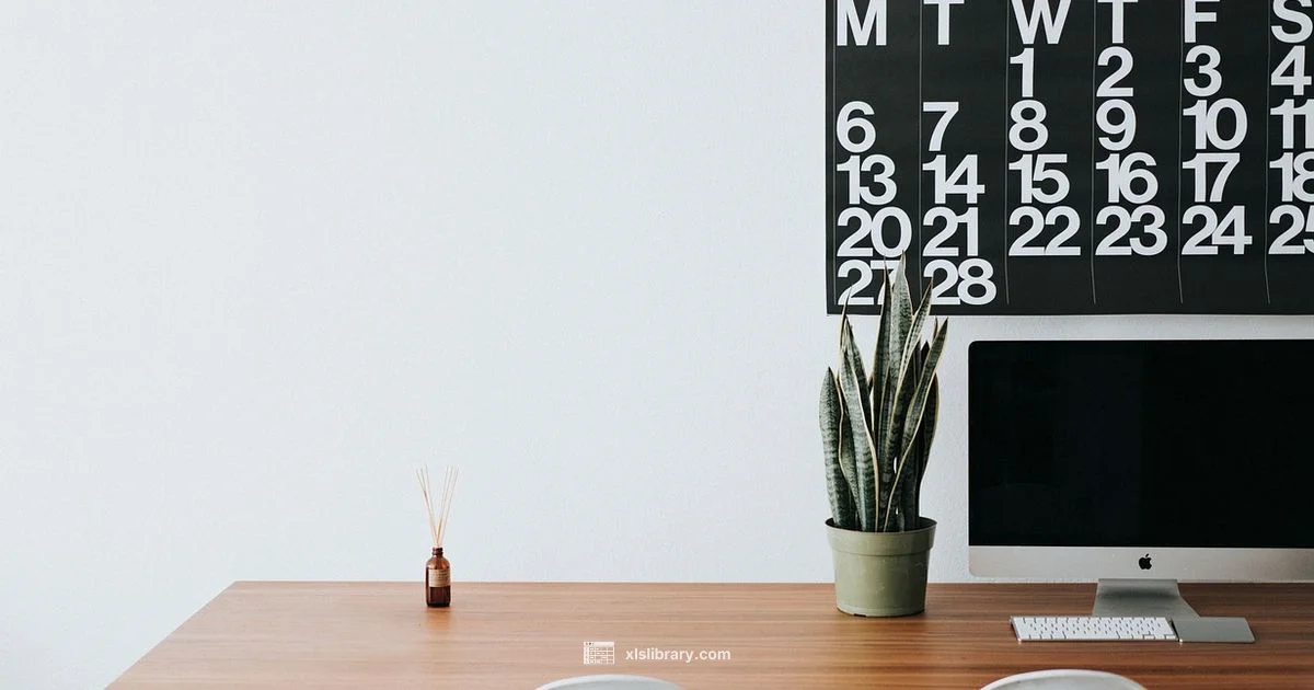 Excel Look Guide - XLS Library