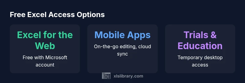 Infographic showing free Excel access options